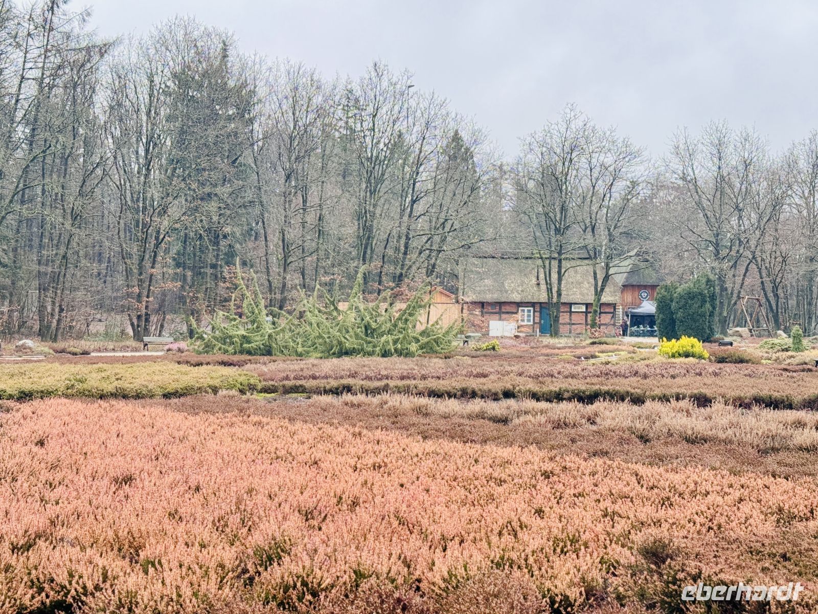 4. Tag - Heidegarten Schneverdingen &ndash; &copy; Christin Kuschka (Eberhardt TRAVEL)