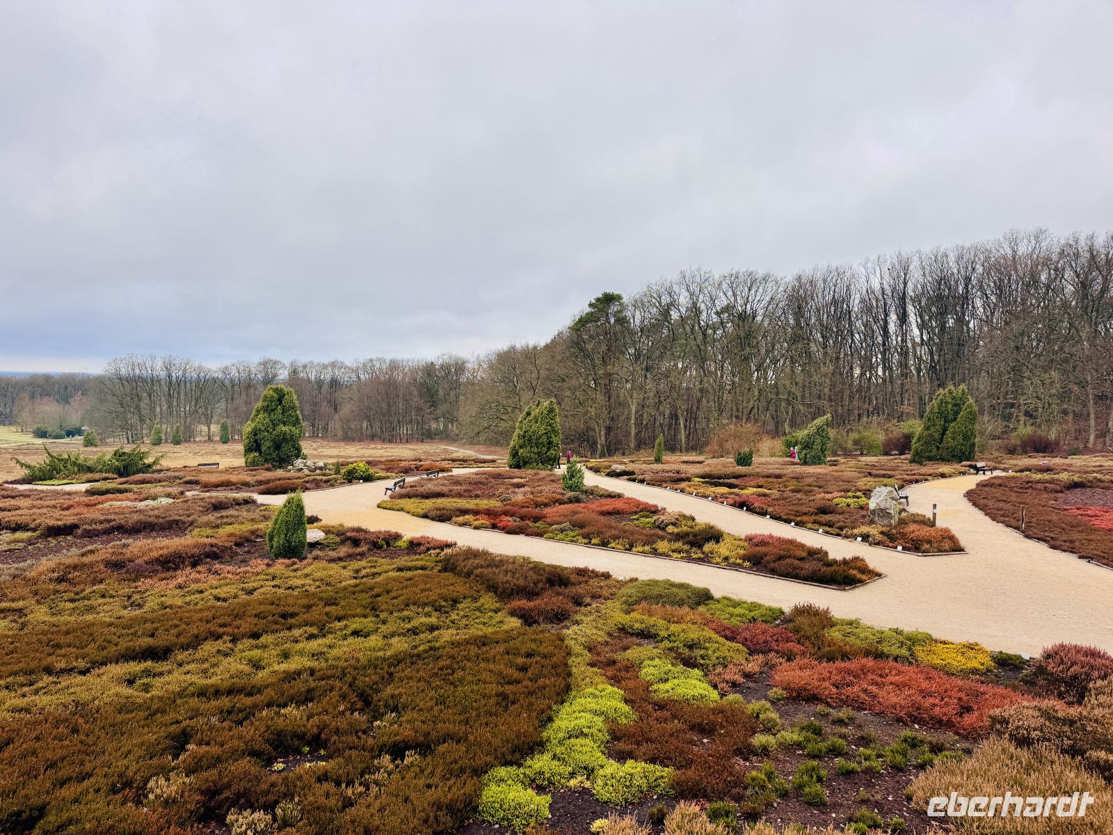 4. Tag - Heidegarten Schneverdingen &ndash; &copy; Christin Kuschka (Eberhardt TRAVEL)
