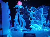  Tinkerbell &ndash; &copy; Adelheid Fritzsche (Eberhardt TRAVEL)