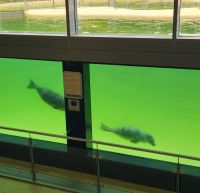 Seehundstation Norddeich &ndash; &copy; Petra Hady (Eberhardt TRAVEL)