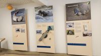 Seehundstation Norddeich &ndash; &copy; Petra Hady (Eberhardt TRAVEL)
