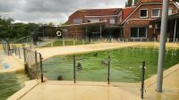 Seehundstation Norddeich &ndash; &copy; Petra Hady (Eberhardt TRAVEL)