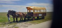Insel Hiddensee