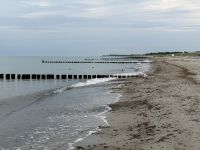 den Möwen gehört der Strand &ndash; &copy; Ralf Mehnert (Eberhardt TRAVEL)
