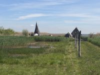 Boddenlandschaft