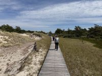 Naturreservat Darßer Ort &ndash; &copy; Ralf Mehnert (Eberhardt TRAVEL)