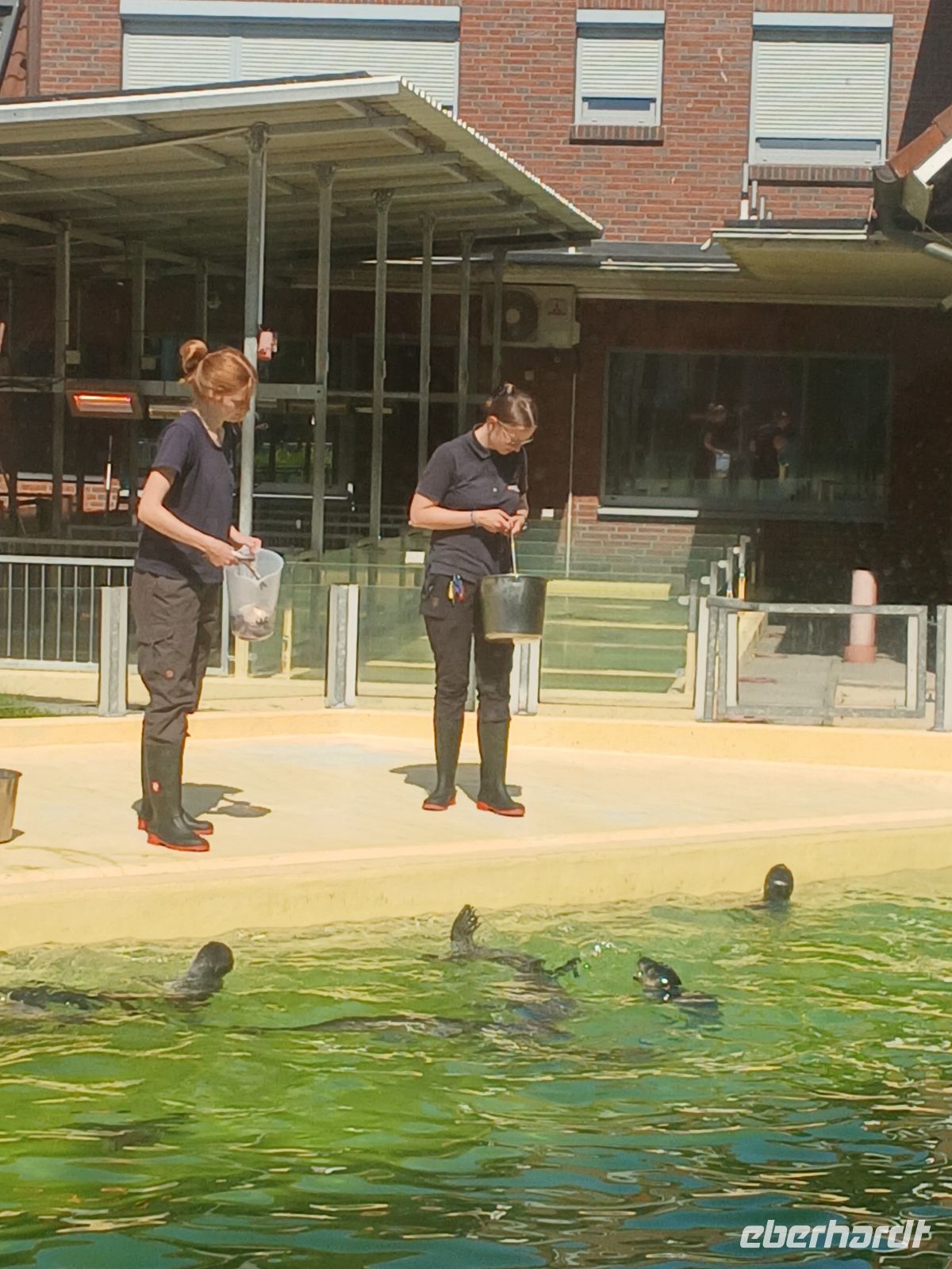 Besuch in der Seehundauffangstation m &ndash; &copy; Gabriele Stoffele (Eberhardt TRAVEL)