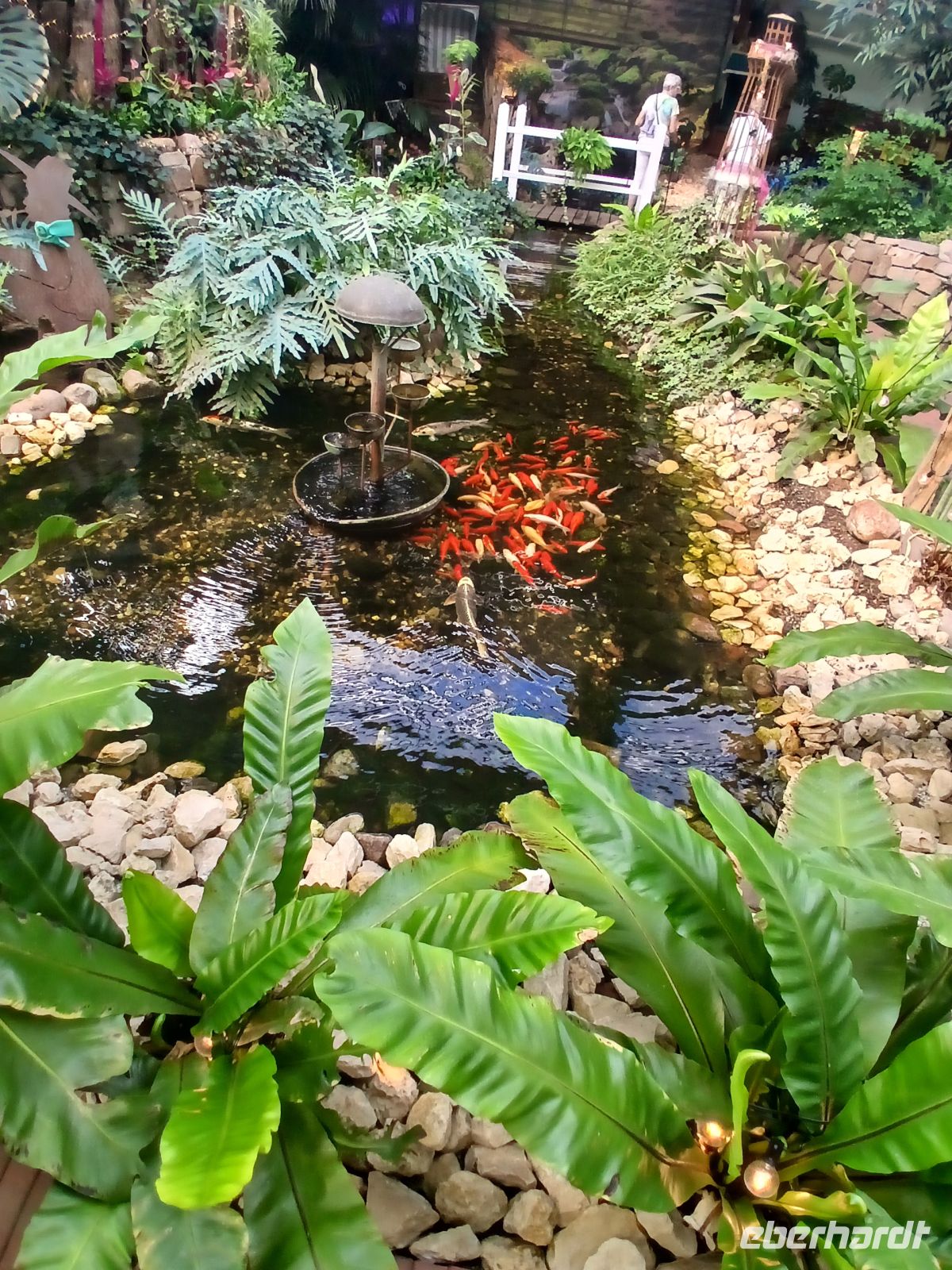 Fischteich in der Blumenhalle &ndash; &copy; Gabriele Stoffele (Eberhardt TRAVEL)