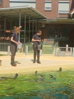 Besuch in der Seehundauffangstation m &ndash; &copy; Gabriele Stoffele (Eberhardt TRAVEL)