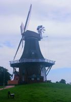 eine der Zwillingswindmühlen in Greetsil &ndash; &copy; Gabriele Stoffele (Eberhardt TRAVEL)
