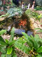 Fischteich in der Blumenhalle &ndash; &copy; Gabriele Stoffele (Eberhardt TRAVEL)