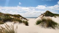 Dünenwanderweg auf Amrum &ndash; &copy; Petra Hady (Eberhardt TRAVEL)