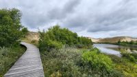 Bohlenweg auf Amrum - Wanderung &ndash; &copy; Petra Hady (Eberhardt TRAVEL)