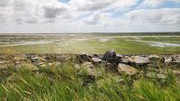 Wattenmeer - Hallig Hooge &ndash; &copy; Petra Hady (Eberhardt TRAVEL)