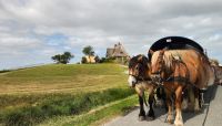Kirchwarft von Hallig Hooge &ndash; &copy; Petra Hady (Eberhardt TRAVEL)