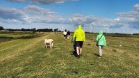 Deichwanderung &ndash; &copy; Petra Hady (Eberhardt TRAVEL)