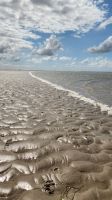 Wattwanderung &ndash; &copy; Petra Hady (Eberhardt TRAVEL)