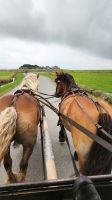 Hallig Hooge &ndash; &copy; Petra Hady (Eberhardt TRAVEL)