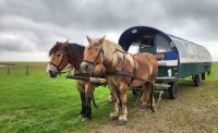 Hallig Hooge &ndash; &copy; Petra Hady (Eberhardt TRAVEL)