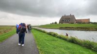 Hallig Hooge - Spaziergang &ndash; &copy; Petra Hady (Eberhardt TRAVEL)