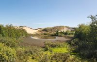 Amrum - Dünenlandschaft
