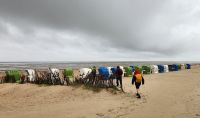 Föhr - Wanderung &ndash; &copy; Petra Hady (Eberhardt TRAVEL)