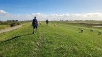 Dagebüll - Deichwanderweg &ndash; &copy; Petra Hady (Eberhardt TRAVEL)