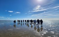 Wattwanderung &ndash; &copy; Petra Hady (Eberhardt TRAVEL)