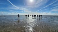 Wattwanderung &ndash; &copy; Petra Hady (Eberhardt TRAVEL)