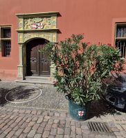 0603 Freiburg &ndash; &copy; Jörg Nesse (Eberhardt TRAVEL)