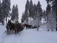 Romantische Schlittenfahrt in Oberhof