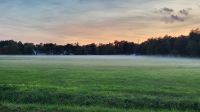 Dierhagen &ndash; &copy; Petra Hady (Eberhardt TRAVEL)