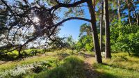 Wanderung von Ahrenshoop nach Wustrow &ndash; &copy; Petra Hady (Eberhardt TRAVEL)