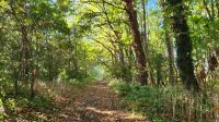 Wanderung von Ahrenshoop nach Wustrow &ndash; &copy; Petra Hady (Eberhardt TRAVEL)