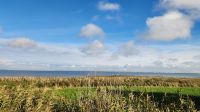 Boddenküste - Wanderung von Ahrenshoop nach Wustrow &ndash; &copy; Petra Hady (Eberhardt TRAVEL)