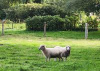 Idylle in Ahrenshoop &ndash; &copy; Petra Hady (Eberhardt TRAVEL)