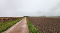 Wanderung von Wustrow nach Ahrenshoop &ndash; &copy; Petra Hady (Eberhardt TRAVEL)