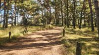 Wanderung am Darßer Ort &ndash; &copy; Petra Hady (Eberhardt TRAVEL)
