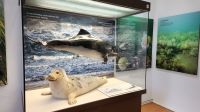 Natureum am Darßer Ort &ndash; &copy; Petra Hady (Eberhardt TRAVEL)