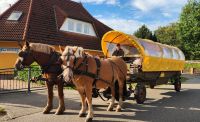 Kutschfahrt zum Darßer Ort &ndash; &copy; Petra Hady (Eberhardt TRAVEL)