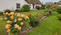 Garten in Born &ndash; &copy; Petra Hady (Eberhardt TRAVEL)