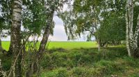 Wanderung von Wieck nach Born &ndash; &copy; Petra Hady (Eberhardt TRAVEL)