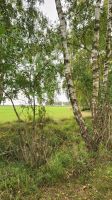 Wanderung von Wieck nach Born &ndash; &copy; Petra Hady (Eberhardt TRAVEL)
