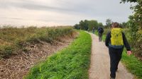 Wanderung von Wieck nach Born