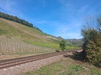 Weinanbau am Kanzemer Altenberg &ndash; &copy; Alicia Eckert (Eberhardt TRAVEL)