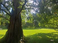 Park am Weingut Othegraven &ndash; &copy; Alicia Eckert (Eberhardt TRAVEL)