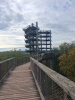 Baumwipfelpfad an der Saarschleife &ndash; &copy; Alicia Eckert (Eberhardt TRAVEL)