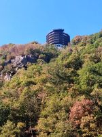 Der Baumwipfelpfad von unten gesehen &ndash; &copy; Alicia Eckert (Eberhardt TRAVEL)