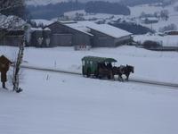 Tag 5 - Pferdeschlittenfahrt (8) &ndash; &copy; Sabine Heitzer (Eberhardt TRAVEL)