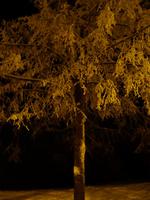 Tag 5 - Waldweihnacht Freyung (9) &ndash; &copy; Sabine Heitzer (Eberhardt TRAVEL)